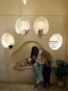 Available Teacup Puppy Breeds